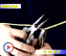 �繤����֪ʶ5